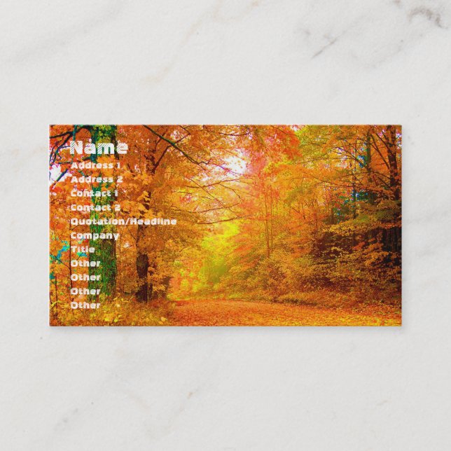 Carte De Visite Vermont Autumn Nature Paysage (Devant)