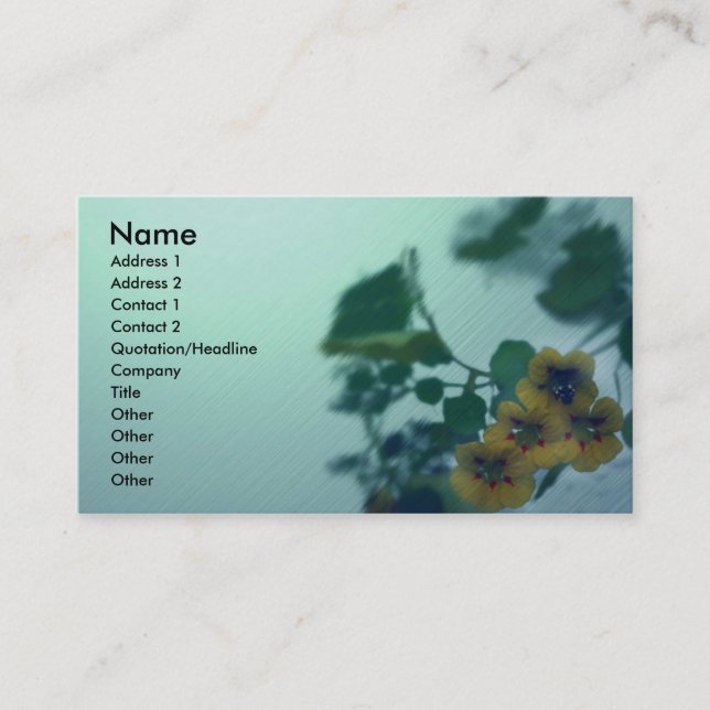 Carte de visite vert doux (Devant)