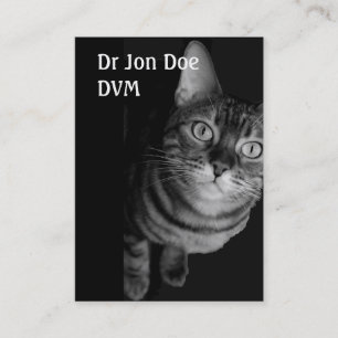 Carte de visite Vet IV