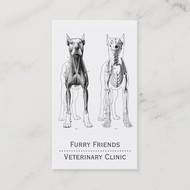 Carte De Visite vétérinaire (Devant)