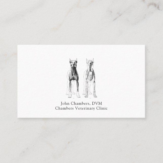 Carte De Visite Vétérinaire professionnel simple Médicale (Devant)