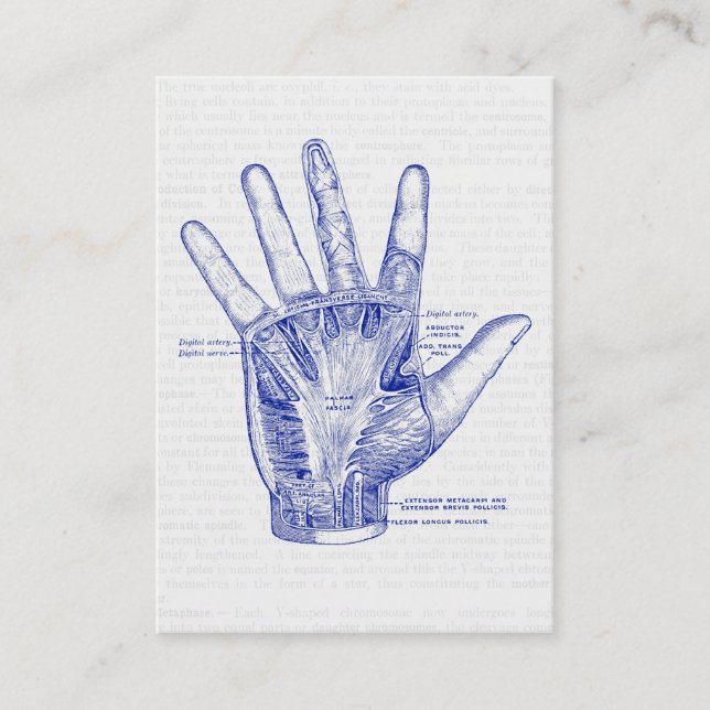 Carte De Visite Vieille paume de dessin d'anatomie de la main (Devant)
