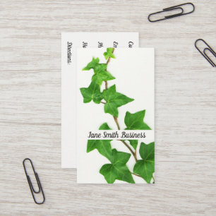 Carte De Visite Vigne blanche de vert d'arrière - plan de lierre