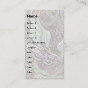 Carte De Visite Vincent Van Gogh - Great Peacock Moth Fine Art