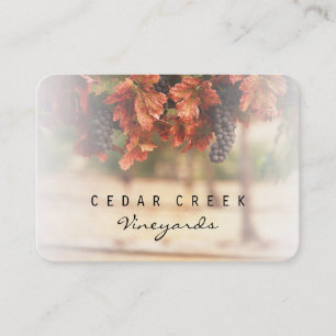 Carte De Visite Vineyard