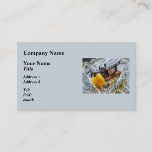 Carte De Visite Vintage Apple Peters