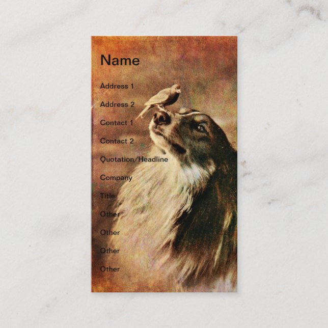 Carte De Visite Vintage Collie et Bird (Devant)