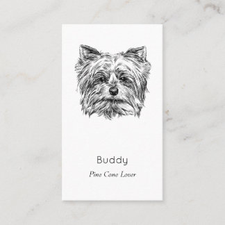 Carte de visite vintage de Yorkshire Terrier -