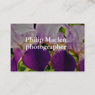 Carte De Visite Violet Iris Fleur Photo Standard Matte