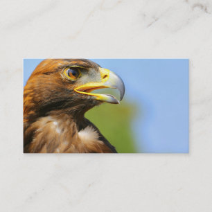 Carte De Visite Vision d'un bel aigle d'or jeune