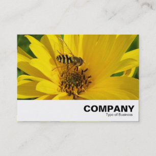 Carte De Visite Vol stationnaire sur un chrysanthème jaune