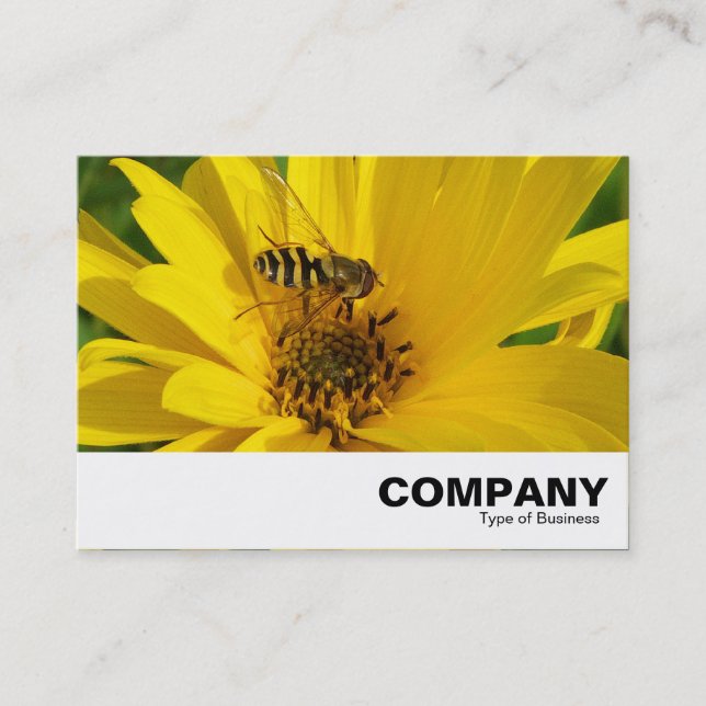Carte De Visite Vol stationnaire sur un chrysanthème jaune (Devant)