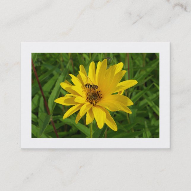 Carte De Visite Vol stationnaire sur un chrysanthème jaune (fronti (Devant)