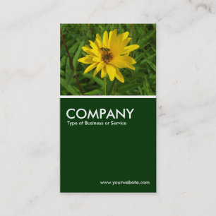 Carte De Visite Vol stationnaire sur un chrysanthème jaune - Vert 
