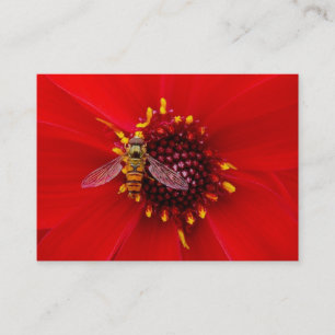 Carte De Visite Vol stationnaire sur une Dahlia, Mini Photo