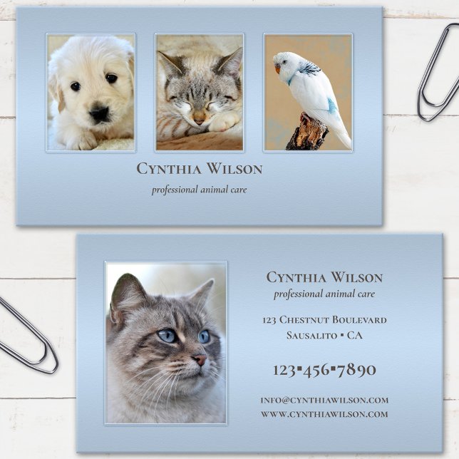 Carte De Visite Vos 4 Photos Clinique d'animaux ou soins Dusty Blu (Créateur téléchargé)