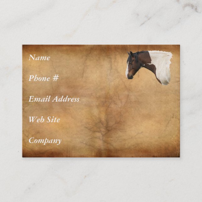Carte de visite Western American Paint Horse (Devant)