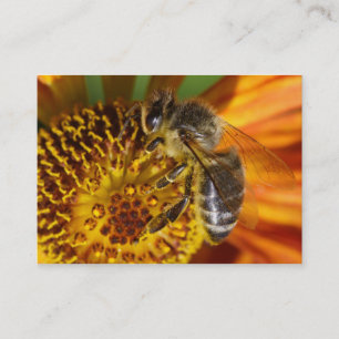 Carte De Visite Western Honey Bee Macro photo