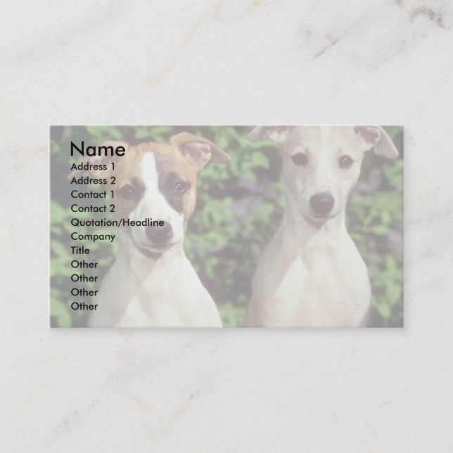 Carte De Visite Whippets (Devant)