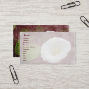 Carte De Visite White Bindweed - La gloire vivace du matin