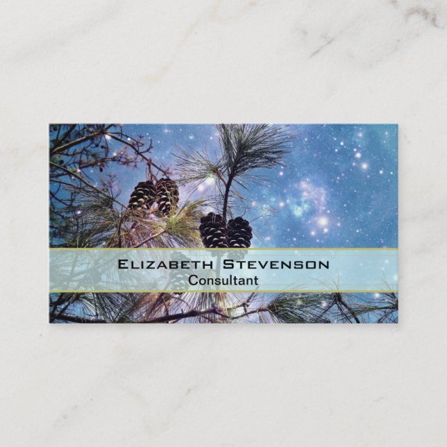 Carte De Visite Winter Pine Cones (Devant)