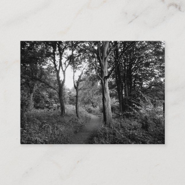 Carte De Visite Woods Bute Park, Cardiff, Mini Photo (Devant)