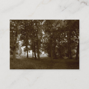 Carte De Visite Woods, Bute Park Cardiff - Sepia tonifié