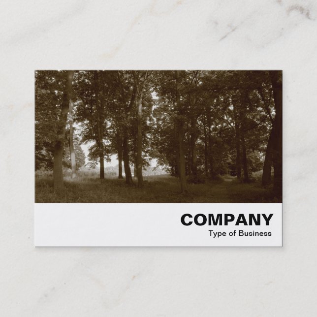 Carte De Visite Woods, Bute Park Cardiff - Sepia tonifié (Devant)