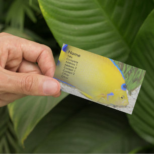 Carte De Visite Yellow and Blue Queen Angelfish Photo