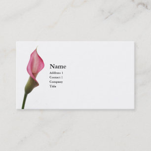 Carte De Visite Zantedeschia