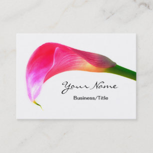 Carte De Visite Zantedeschia rose sur le blanc