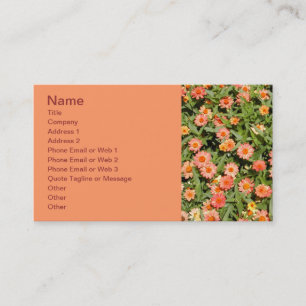 Carte de visite Zinnia
