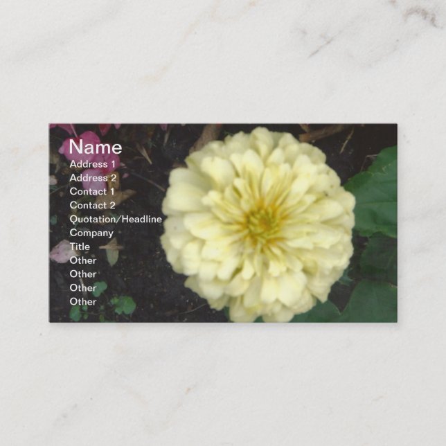 Carte De Visite Zinnia blanche (Devant)