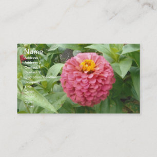 Carte De Visite Zinnia rose