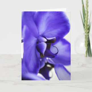 Carte de vœux 5x7 avec photographie florale d'orch