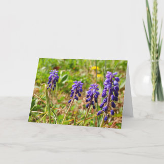 Carte de voeux à fleurs violettes