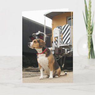 Carte de voeux à la maison bienvenue de beagle -