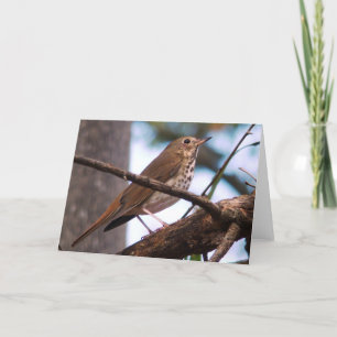 Carte de voeux à la poussée de bois