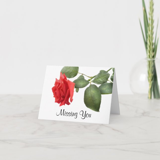 Carte de voeux à la rose rouge - Verse (Devant)