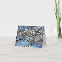 Carte de vœux à l'effigie de fleurs de cerisier en