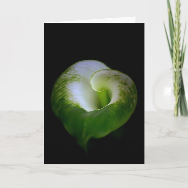Carte de vœux à motif de calla lily blanche et ver (Devant)