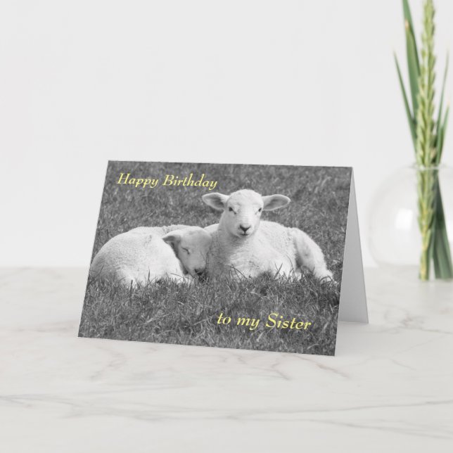 Carte de vœux Agneau de printemps (Devant)