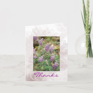 Carte de voeux alpine de fleurs