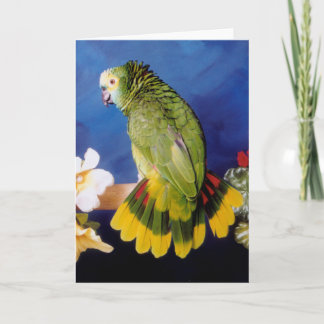 Carte de voeux Amazon Parrot