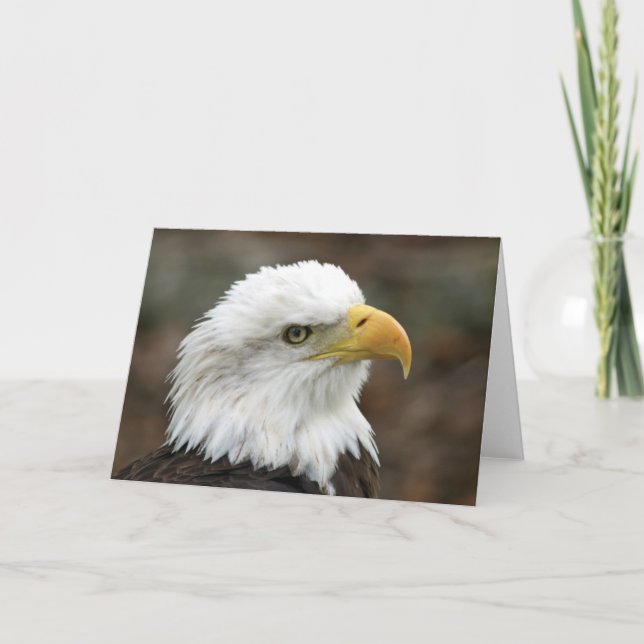 Carte de voeux américaine d'Eagle chauve 2 (Devant)