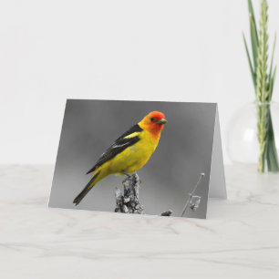 Carte de voeux américaine d'oiseau chanteur