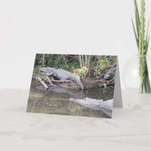 Carte de voeux American Alligator