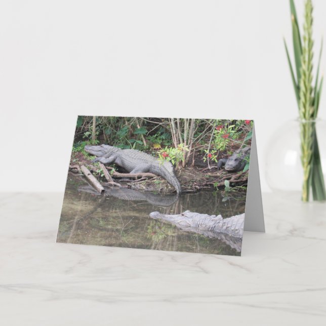 Carte de voeux American Alligator (Devant)