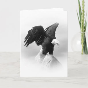 Carte de voeux American Eagle