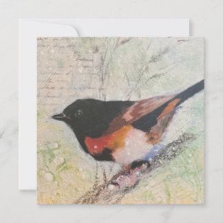 Carte de vœux American Redstart